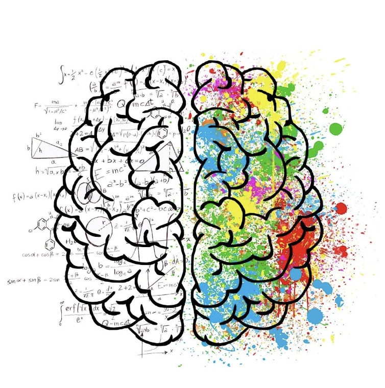 HPI GESTION EMOTIONS