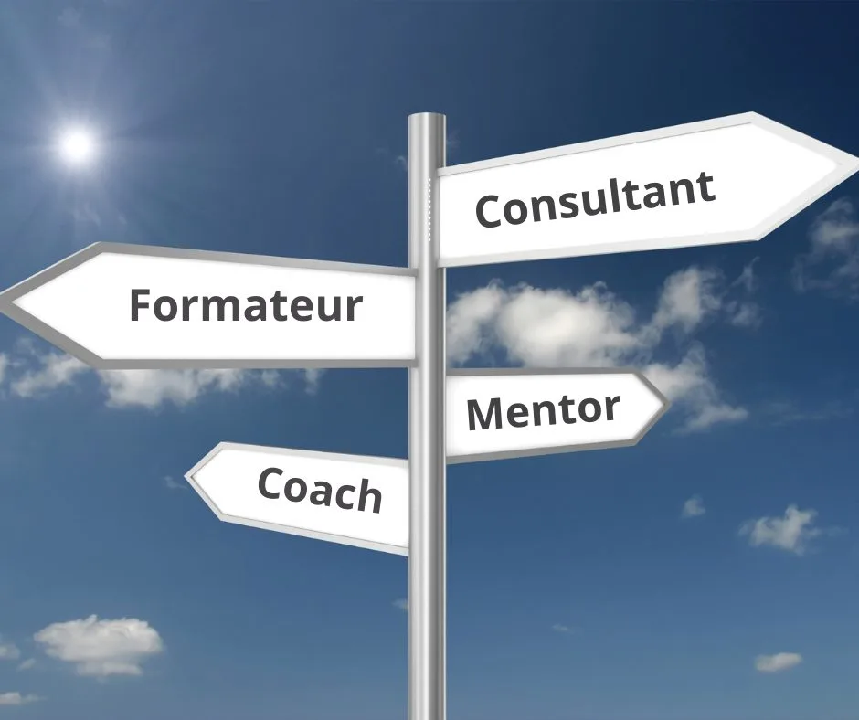 coach consultant coach consultant